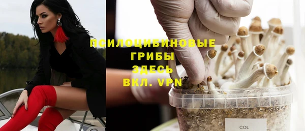 Альфа ПВП Медногорск