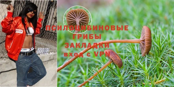 Альфа ПВП Медногорск