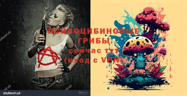 apvp Мегион