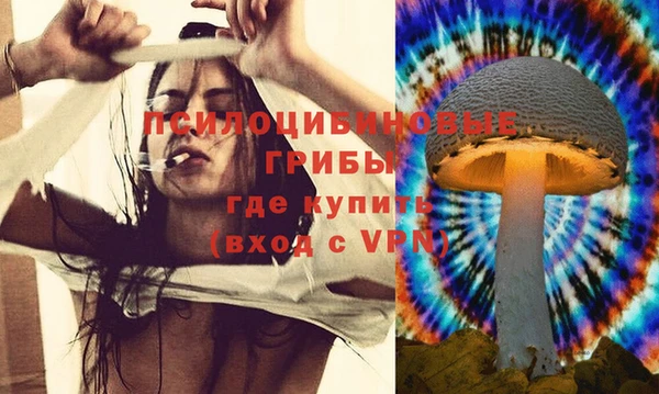 apvp Мегион